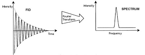 Titel : Fourier Transformation
ID : 18014398554497163 Fourier Transformation